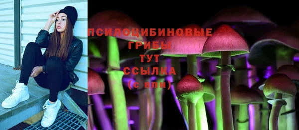 МДПВ Наволоки