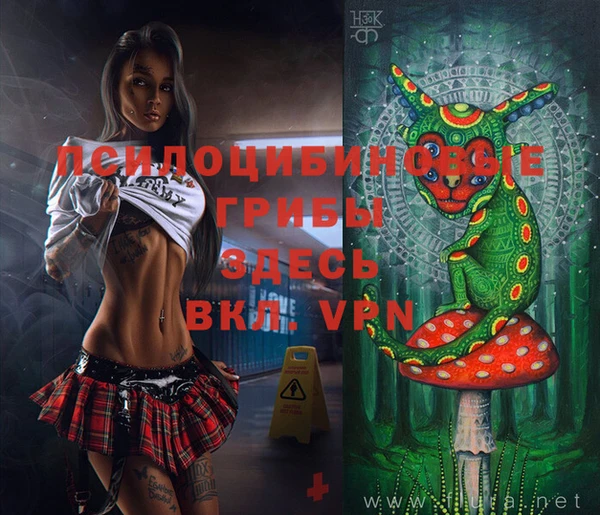 МДПВ Наволоки
