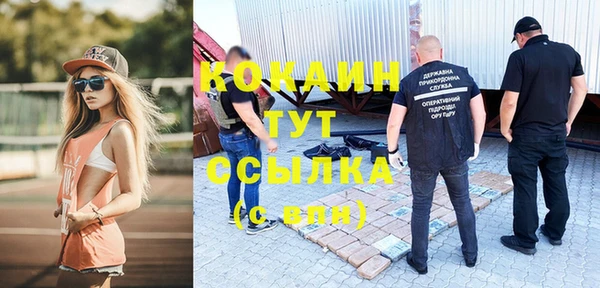 PSILOCYBIN Навашино