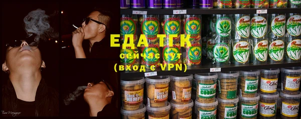 индика Михайловск
