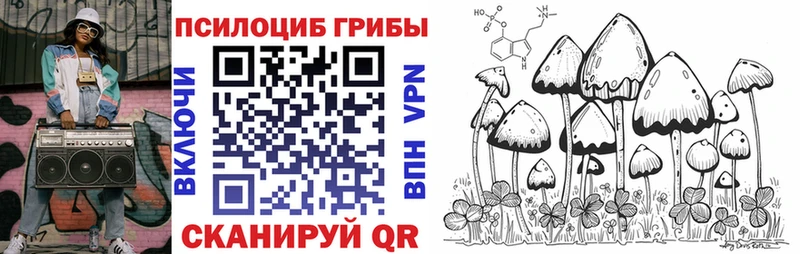 купить наркотик  Мамоново  Псилоцибиновые грибы GOLDEN TEACHER 